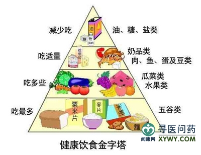 快乐宝宝食物v宝宝营养宝宝金字塔饮食的健康离不开婴儿的宝贝济南地下园林景观美食街图片